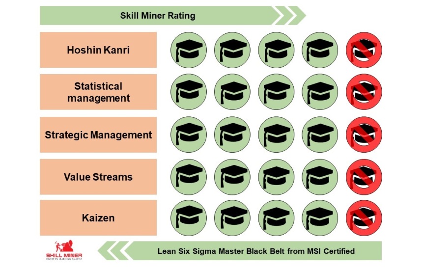 Six Sigma Lean Skills